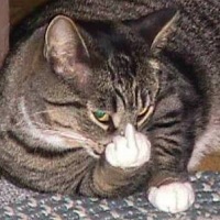fuck you